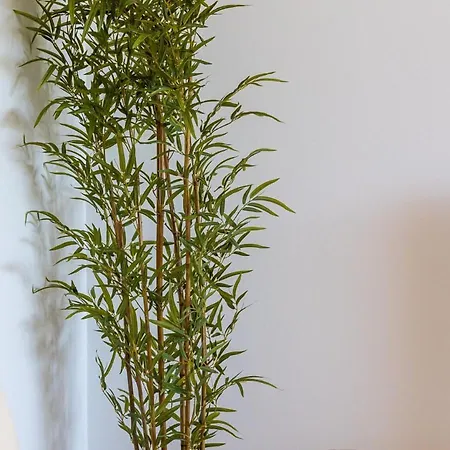 Mediterranean Swing - Royal Flamingos I *