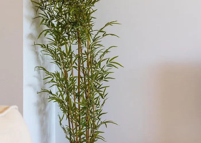 Mediterranean Swing - Royal Flamingos I *