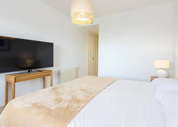 Mediterranean Swing - Royal Flamingos I Estepona